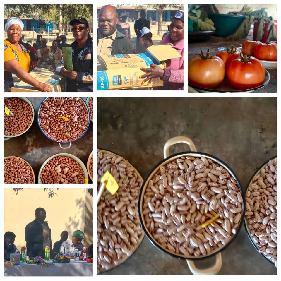 zonal agricultural show shines at mushandike’s buka business centre